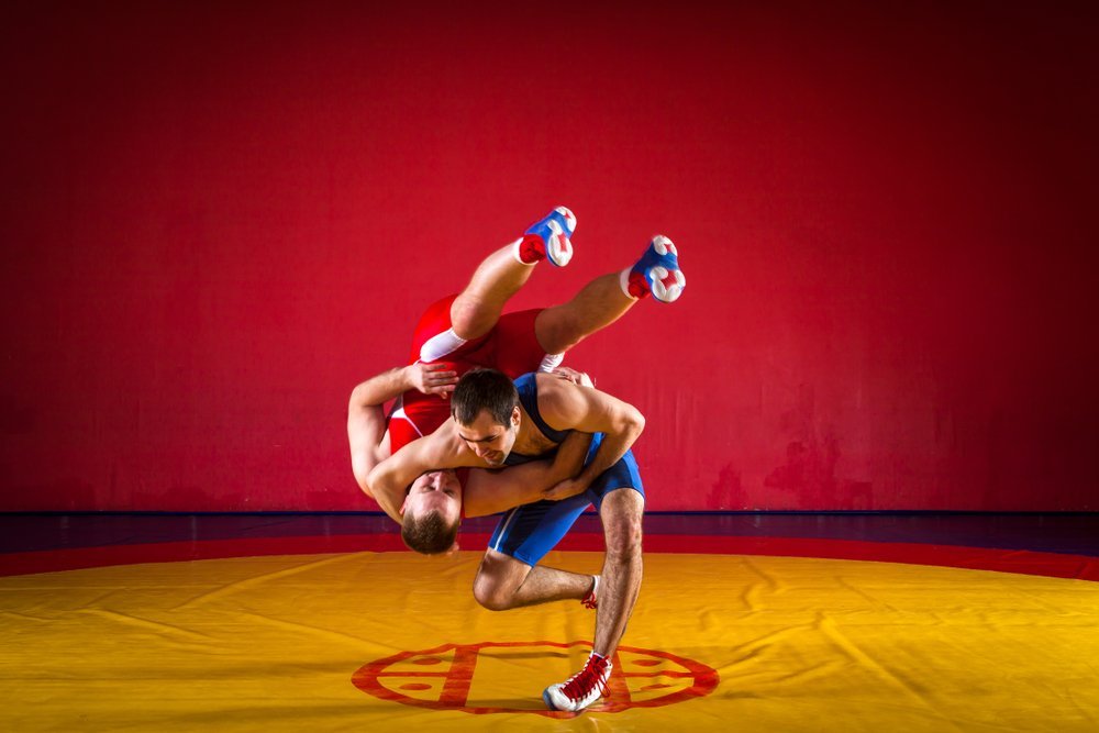 moves used in wrestling