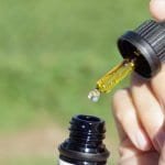 CBD Oil for Concentration